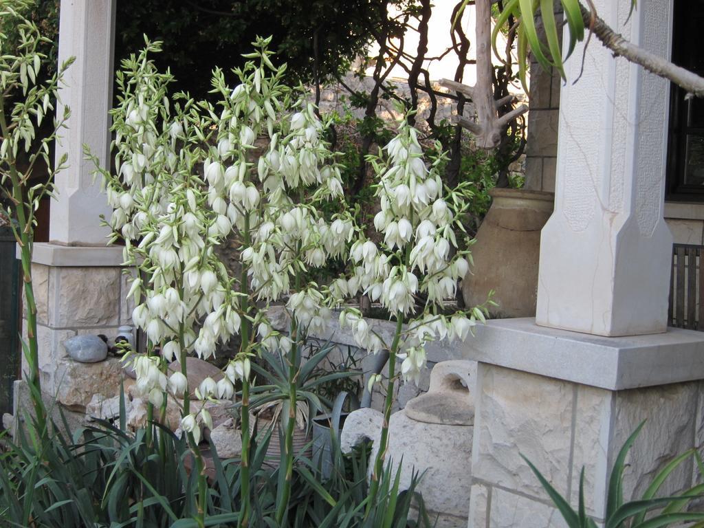 Guest House Maria Bilicic Dubrovnik Exterior photo